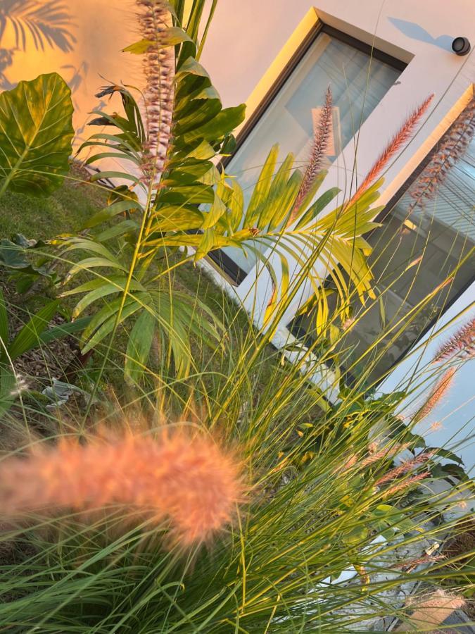 L'Empreinte-Oasis De Serenite Au Coeur D'Un Jardin Tropical Ле-Тампон Екстер'єр фото
